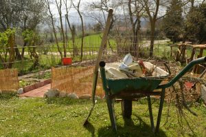 Workaway Tuscany
