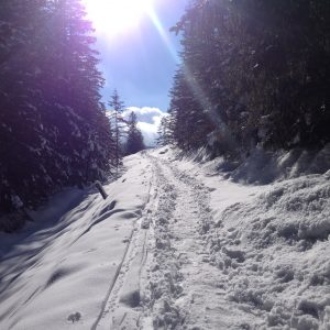 High Tatras Poland