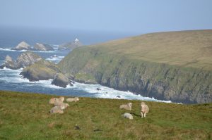 Hermaness Nature Reserve, Unst, Shetland Islands