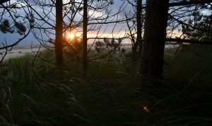 Holkham Beach Microadventure