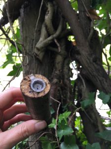 A quick guide to geocaching