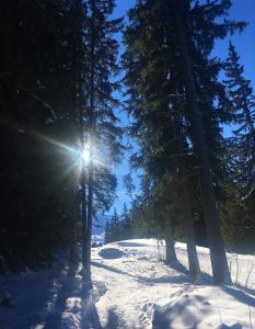 Foret Meribel