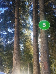 Foret Meribel