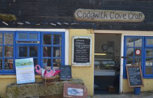 Cadgwith Cornwall