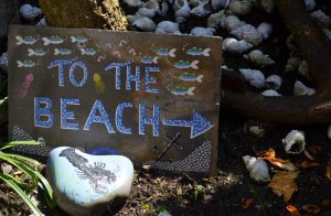 ClovellyBeach
