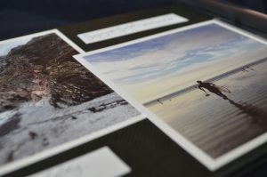 Inkifi Photos