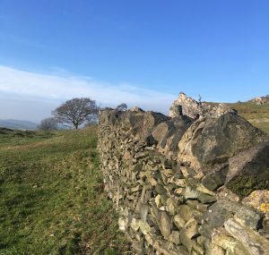 Beacon-Hill Leicestershire