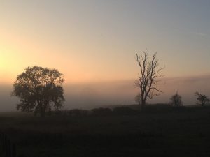 On the joy of coming home