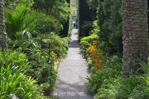 Island Hopping in the Isles of Scilly