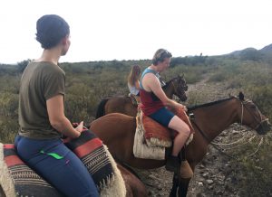 Sunset Horse Riding and Asado in Argentina