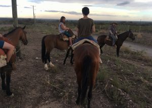 Sunset Horse Riding and Asado in Argentina
