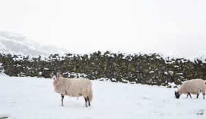 Snowy April day in the Lake District