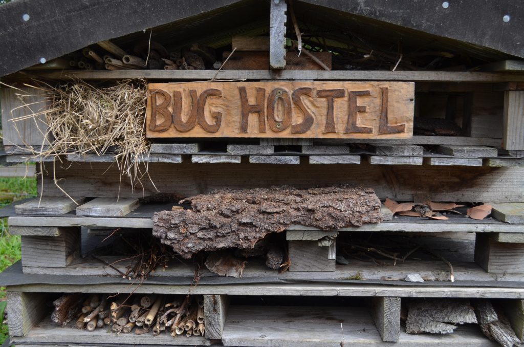 Bug Hostel Lake District