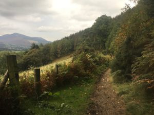 Great Wood Trail Running Lake District