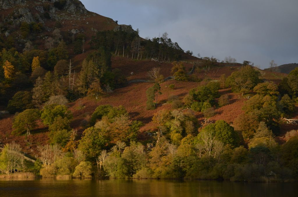 Rydal Water in autumn in the Lake District