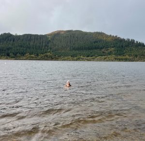 Wild dip Lake District