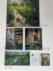 Visiting-Windermere-Jetty-Museum
