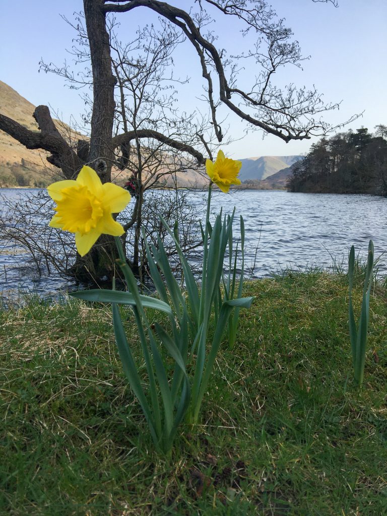 Spring in the Lake District-02