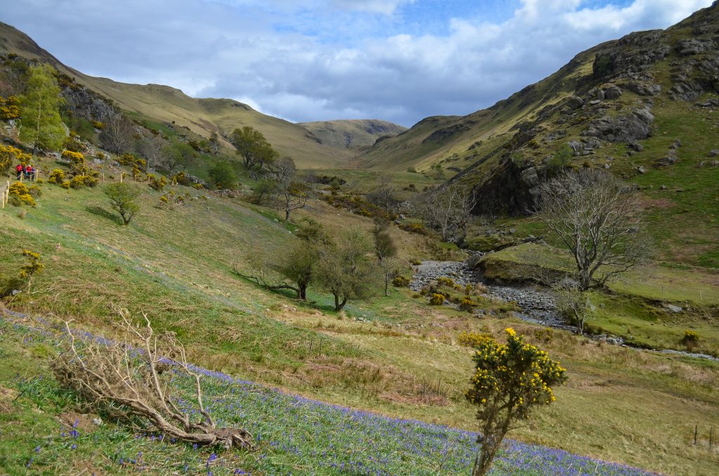Spring in the Lake District-07