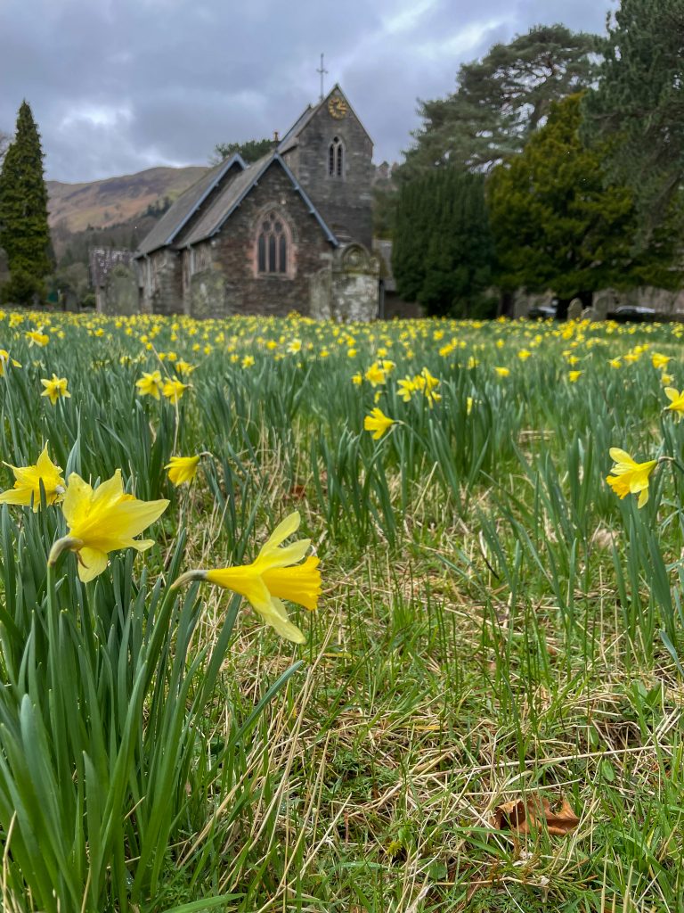 Spring in the Lake District-10