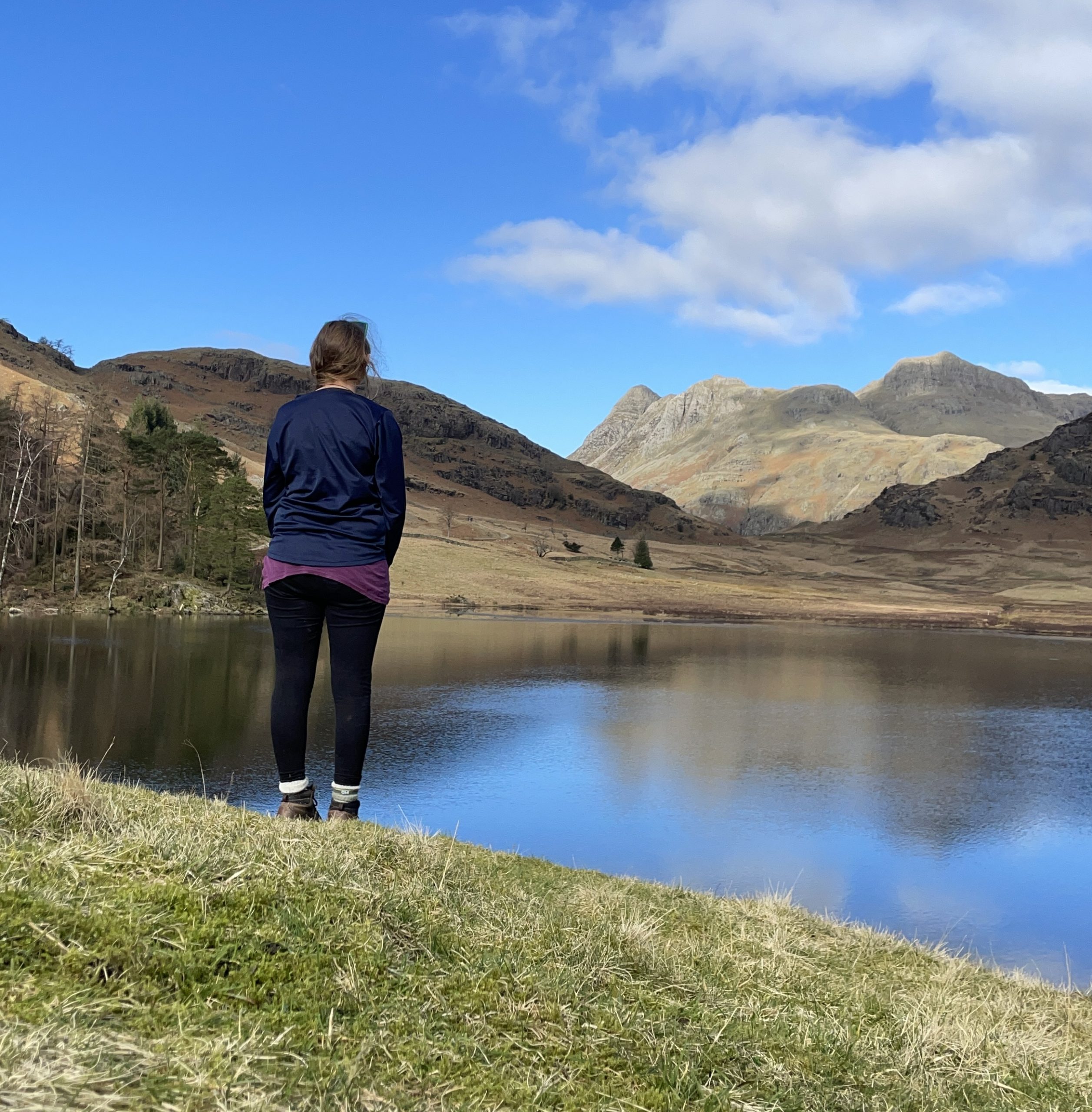 On putting down roots – 5 years in the Lake District 