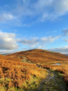 LoughriggWalkAmbleside