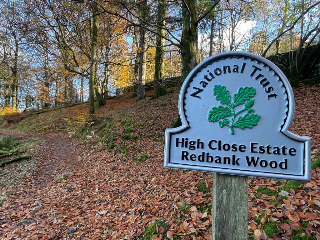 Red Bank Wood Grasmere