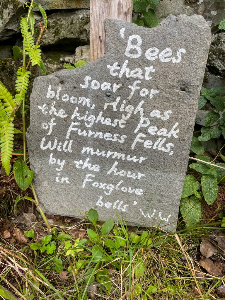 Things to do in Grasmere Dove Cottage