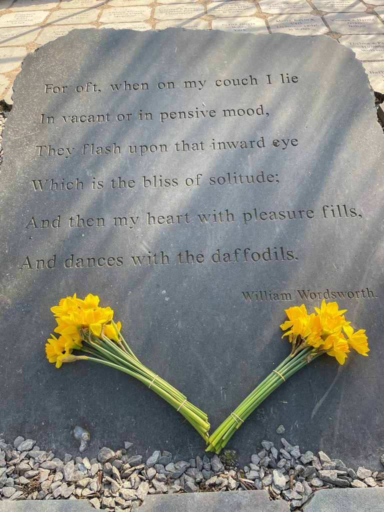 Wordsworth Daffodil Garden