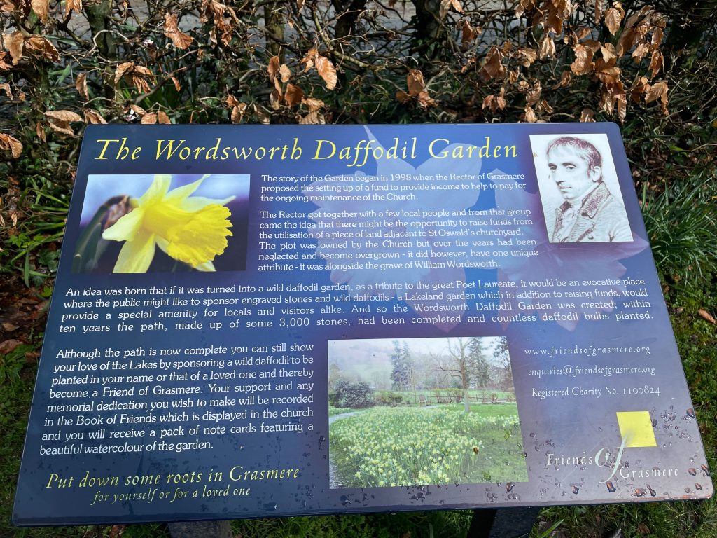 Wordsworth Daffodil Garden Grasmere